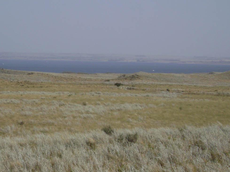 Foto de Chapalco, Argentina