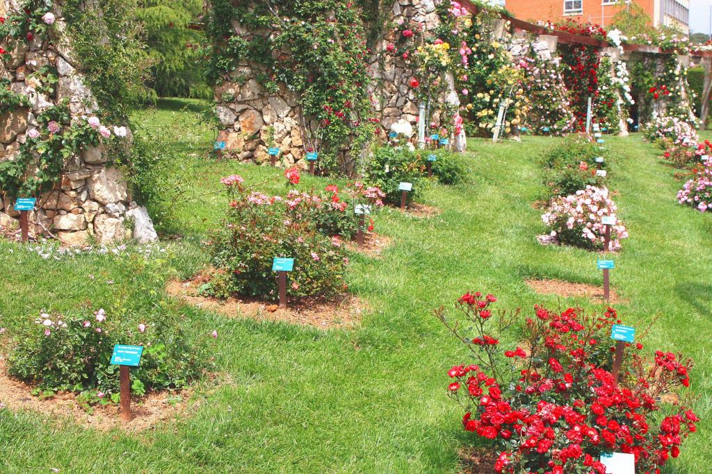 Foto de Barcelona (Cataluña), España