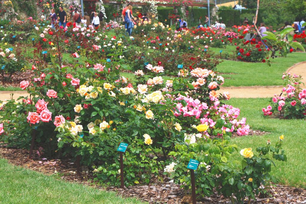 Foto de Barcelona (Cataluña), España