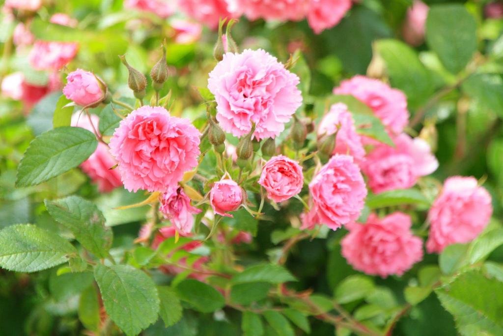 Foto de Barcelona (Cataluña), España