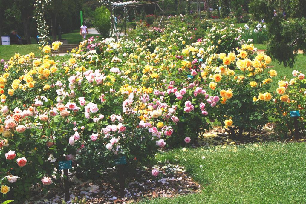 Foto de Barcelona (Cataluña), España