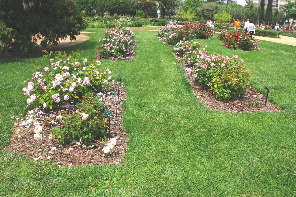 Foto de Barcelona (Cataluña), España