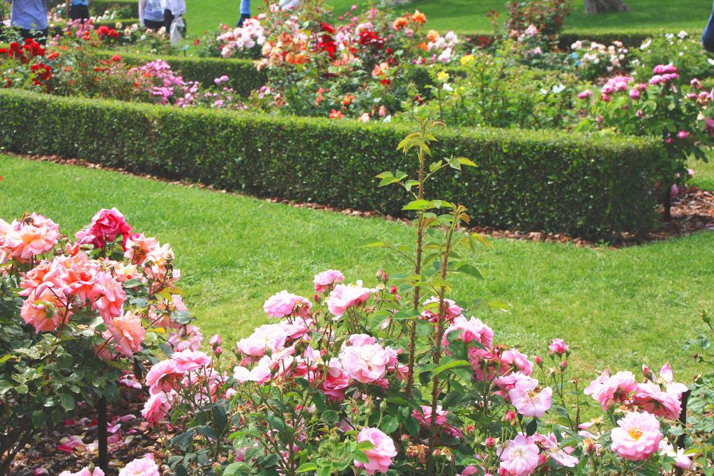 Foto de Barcelona (Cataluña), España