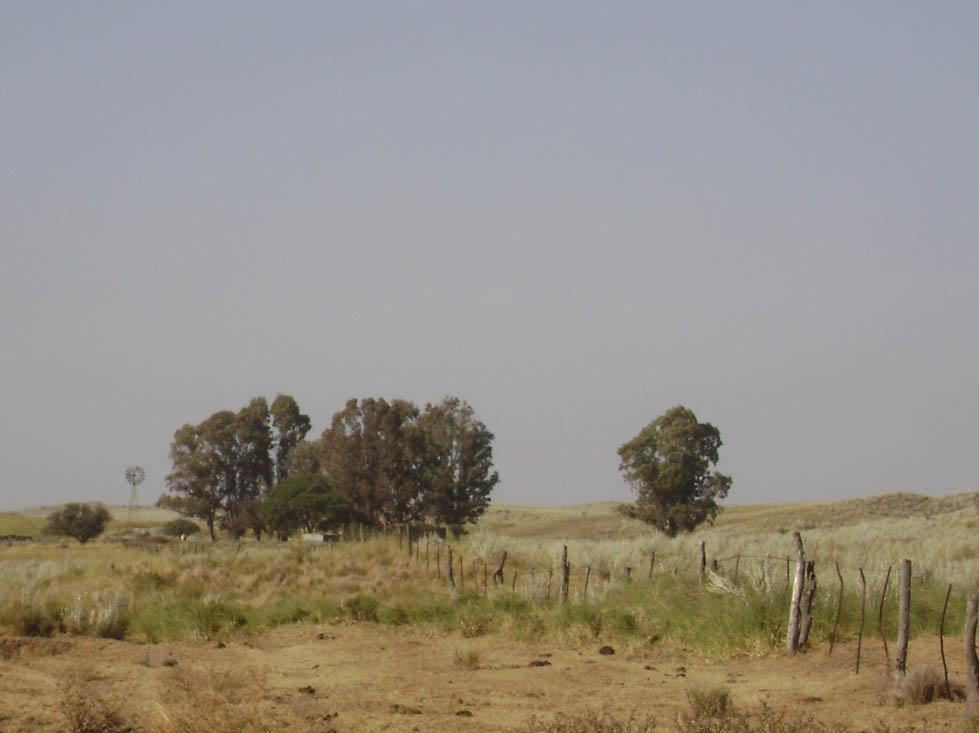 Foto de Chapalco, Argentina