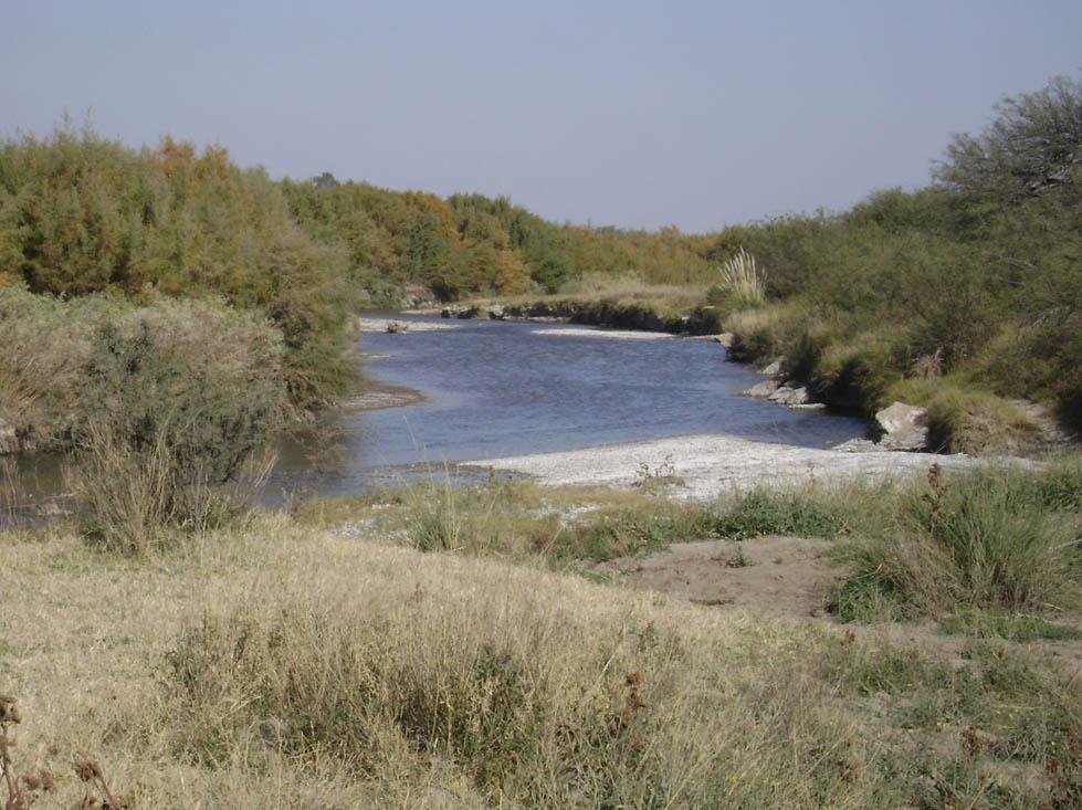 Foto de Chapalco, Argentina