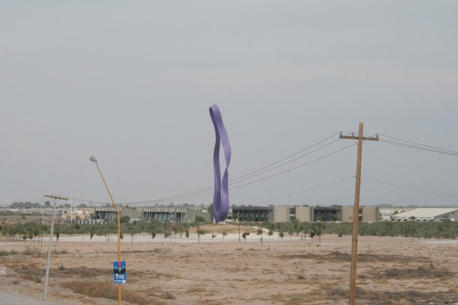 Foto de Torreon Coah, México