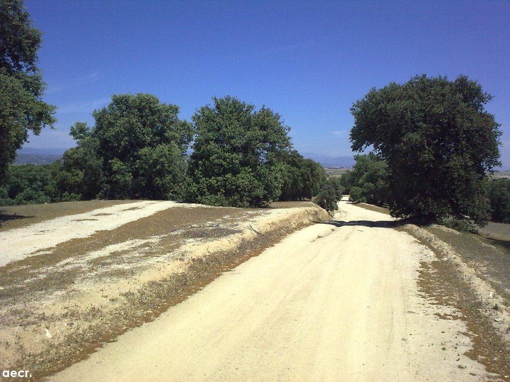Foto de Sevilla la Nueva (Madrid), España