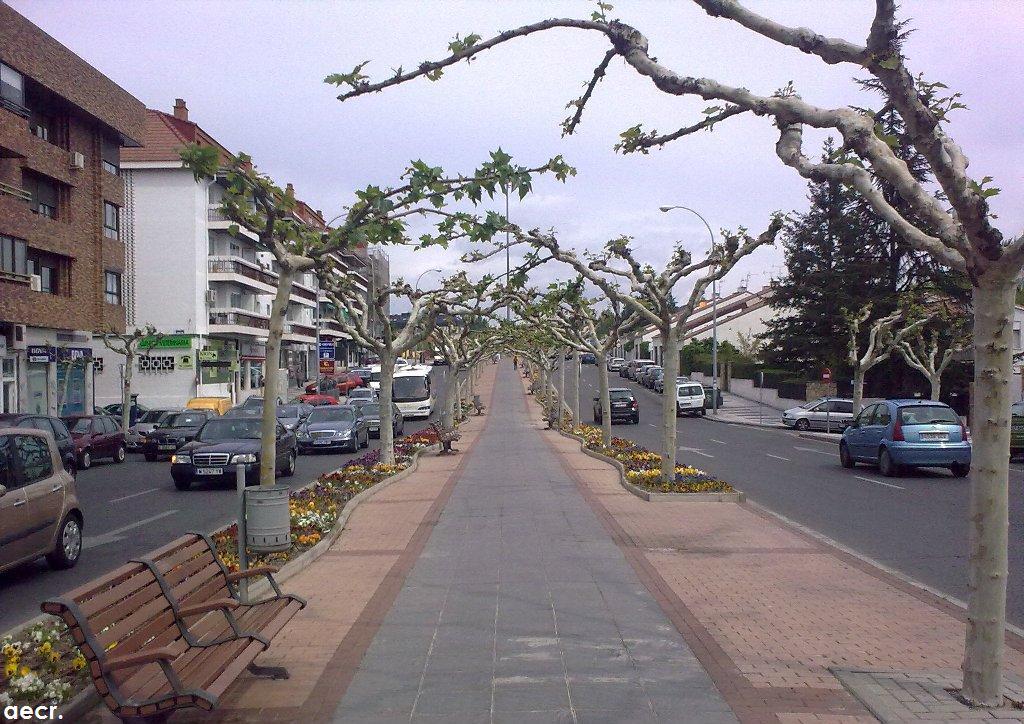 Foto de Majadahonda (Madrid), España