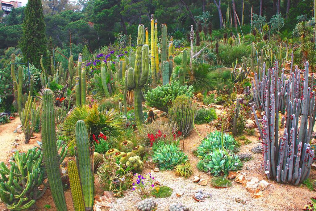 Foto de Blanes (Girona), España