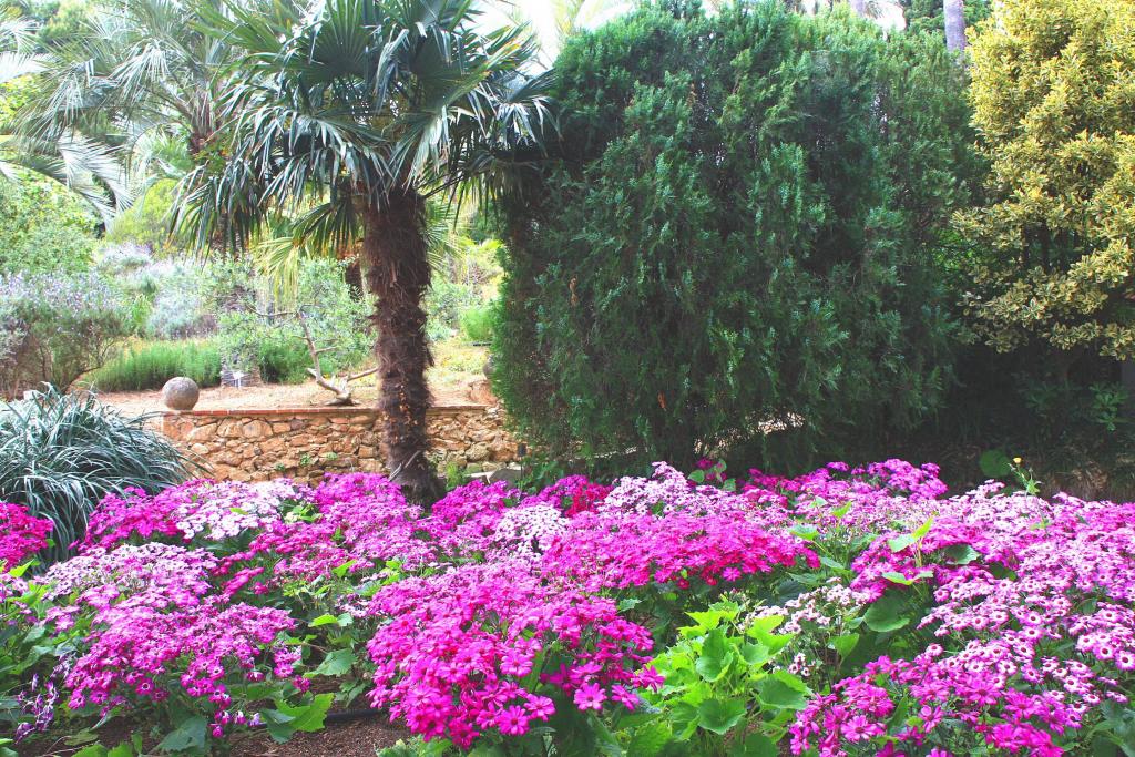 Foto de Blanes (Girona), España