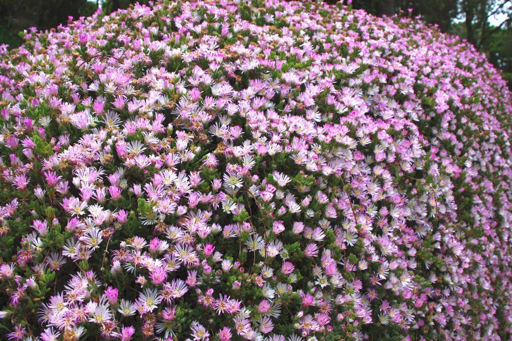 Foto de Blanes (Girona), España
