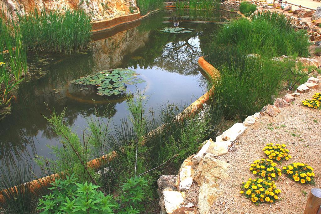 Foto de Blanes (Girona), España