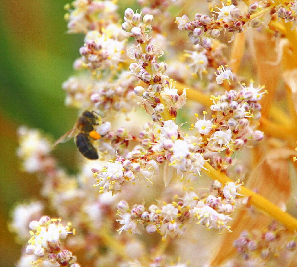 Foto de Blanes (Girona), España