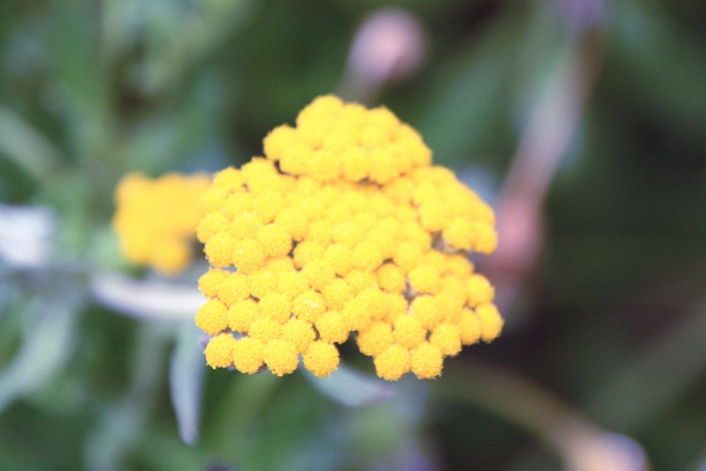 Foto de Blanes (Girona), España