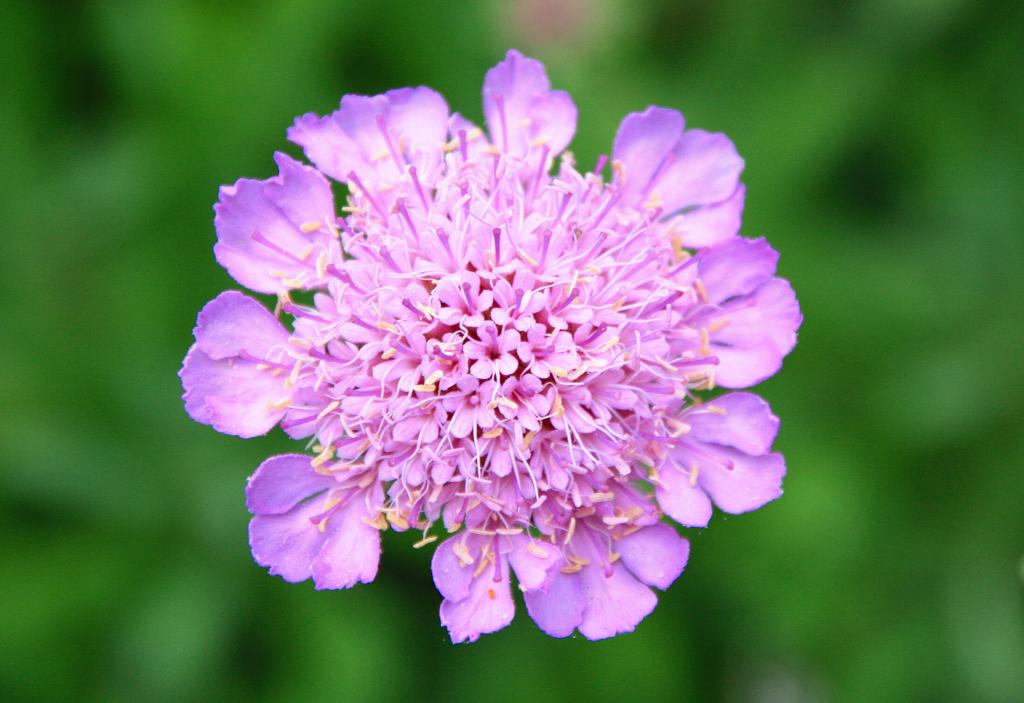 Foto de Blanes (Girona), España