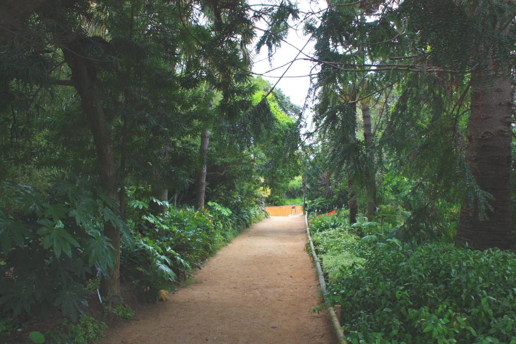 Foto de Blanes (Girona), España