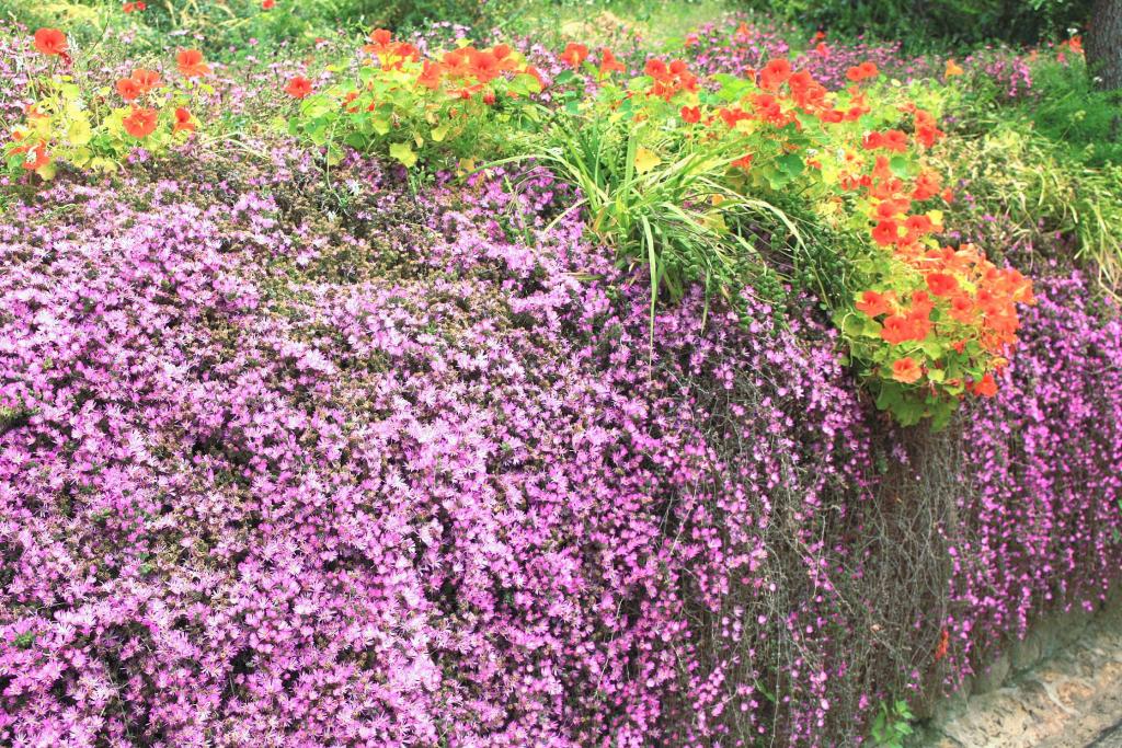 Foto de Blanes (Girona), España