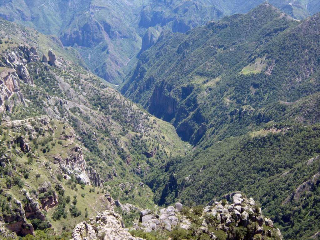 Foto de Creel, México