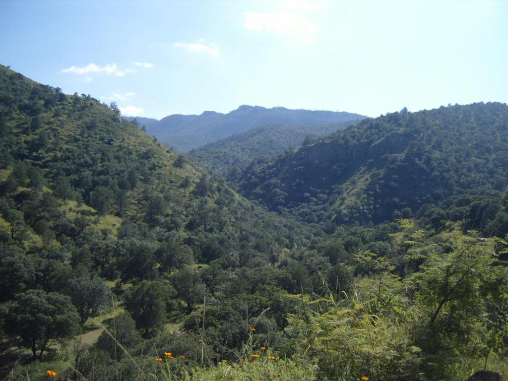 Foto de Chihuahua, México