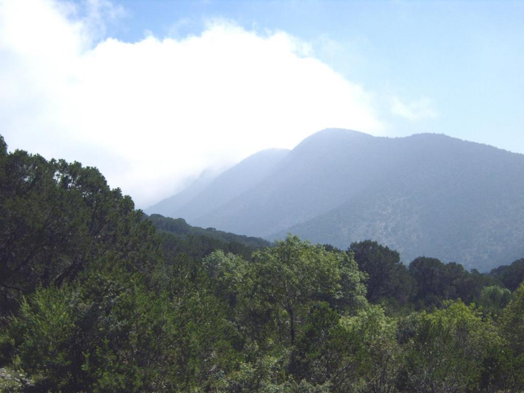 Foto de Saltillo, México