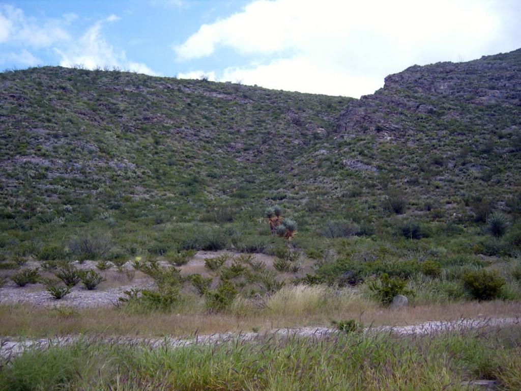 Foto de Torreón, México