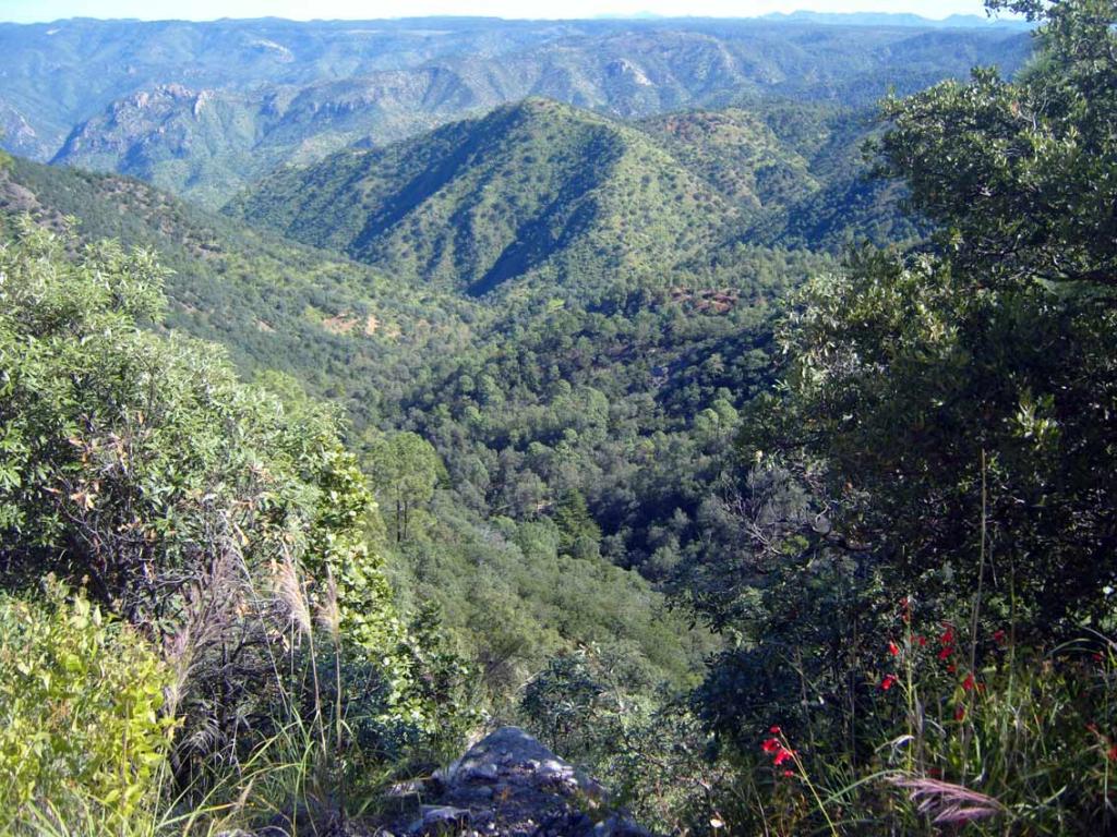 Foto de Chihuahua, México