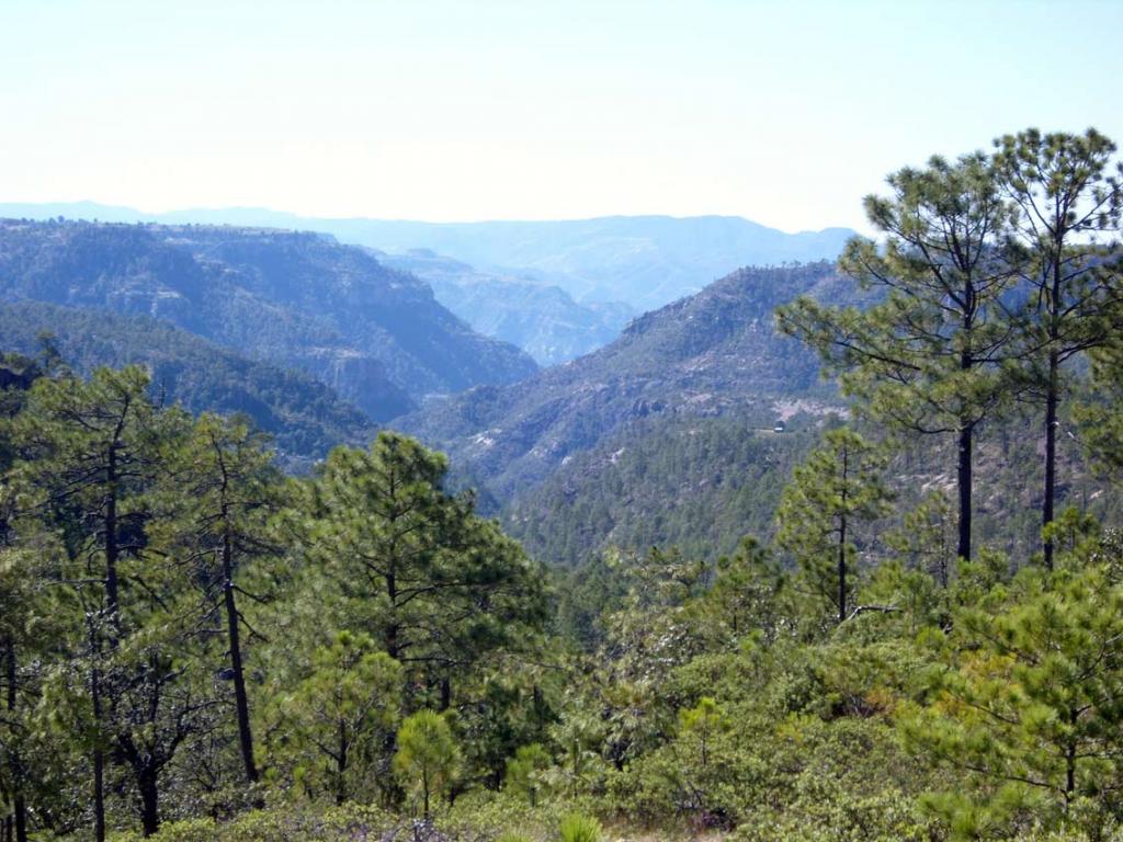 Foto de Chihuahua, México