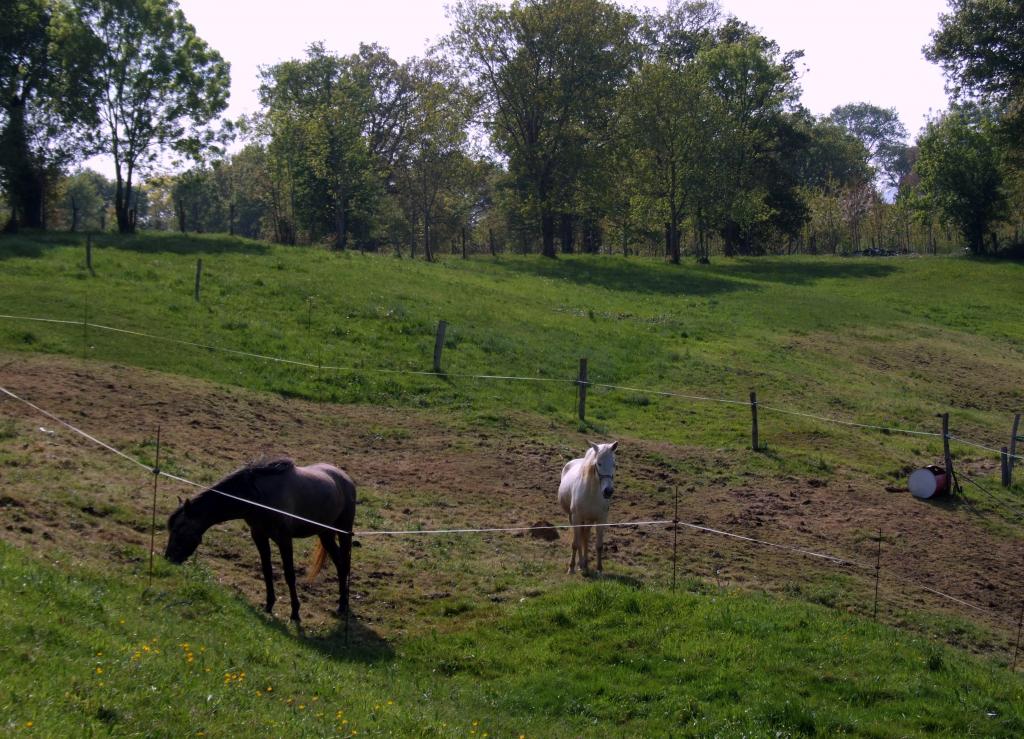 Foto de Arenal de Penagos (Cantabria), España