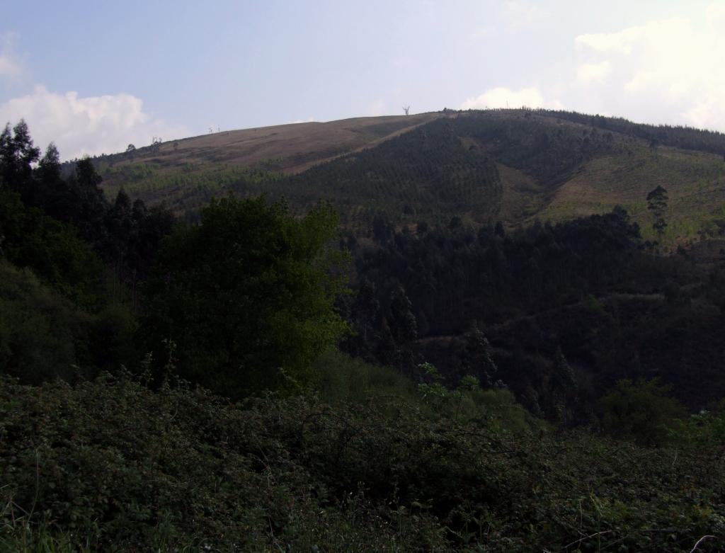 Foto de Arenal de Penagos (Cantabria), España