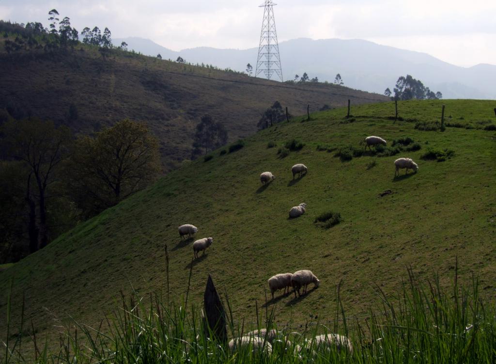 Foto de Arenal de Penagos (Cantabria), España