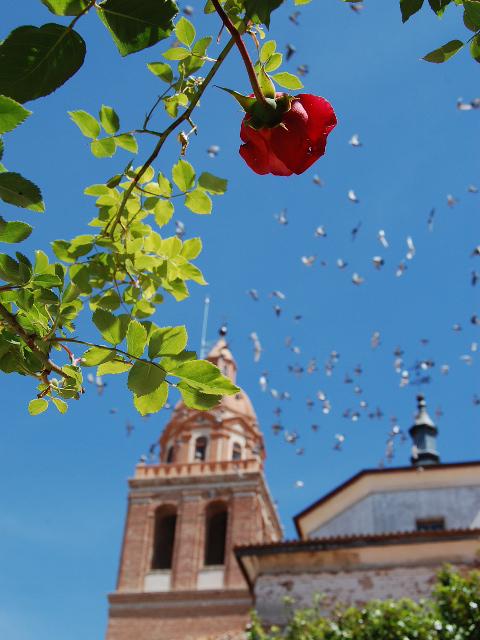Foto de Rueda (Valladolid), España