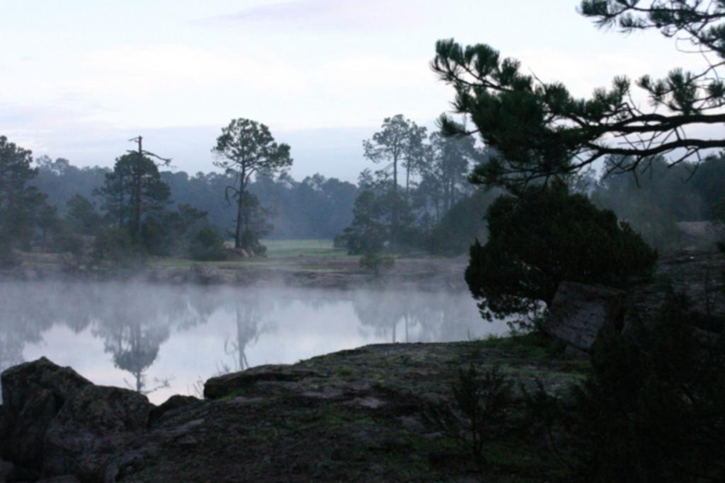 Foto de Mejiquillo (Durango), México