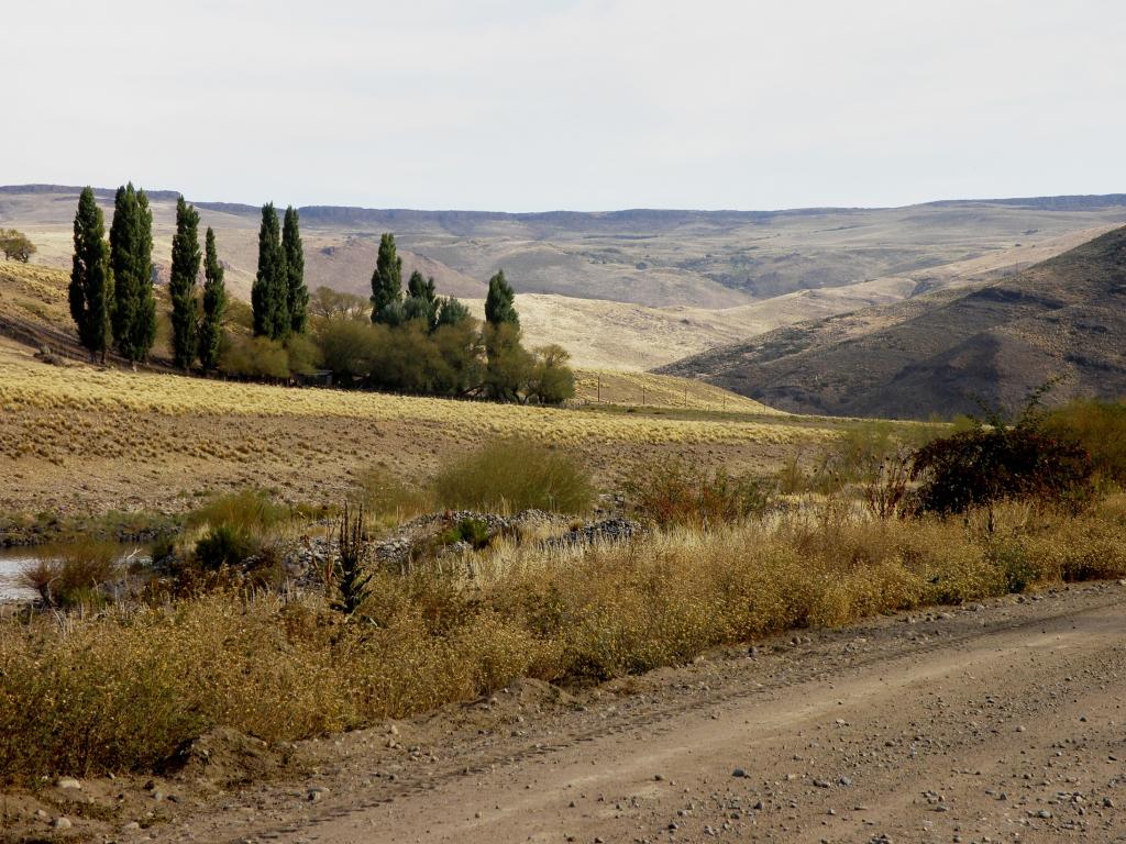 Foto de Aluminé (Neuquén), Argentina