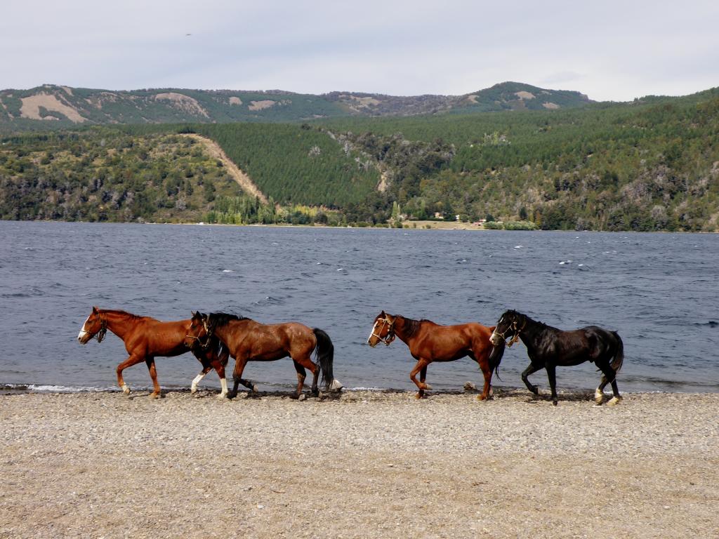 Foto de San Martín de los Andes (Neuquén), Argentina