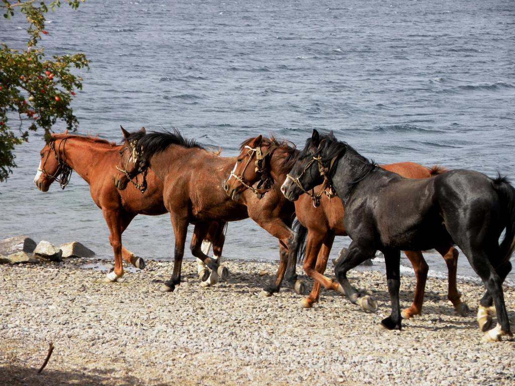 Foto de San Martín de los Andes (Neuquén), Argentina