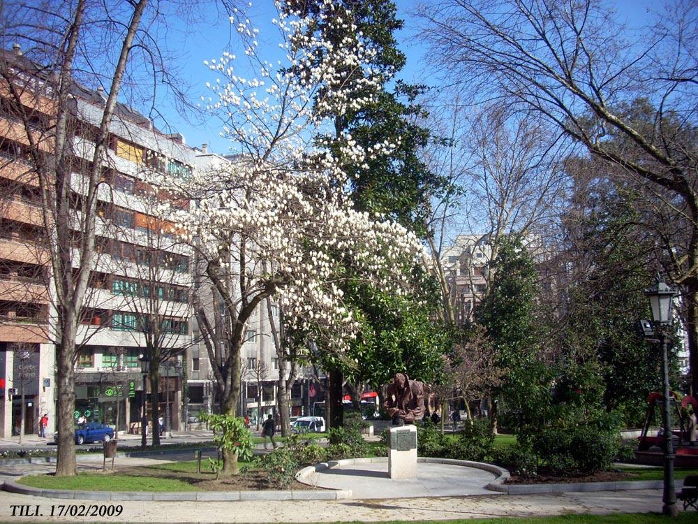 Foto de Oviedo (Asturias), España