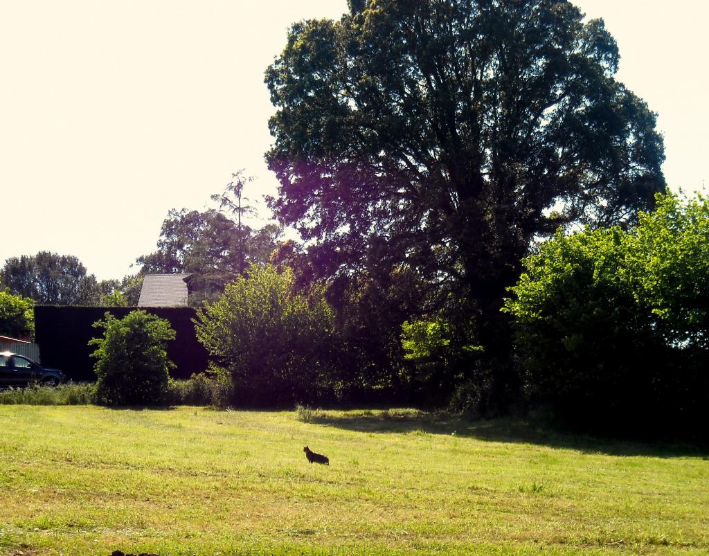 Foto de Agüero (Cantabria), España