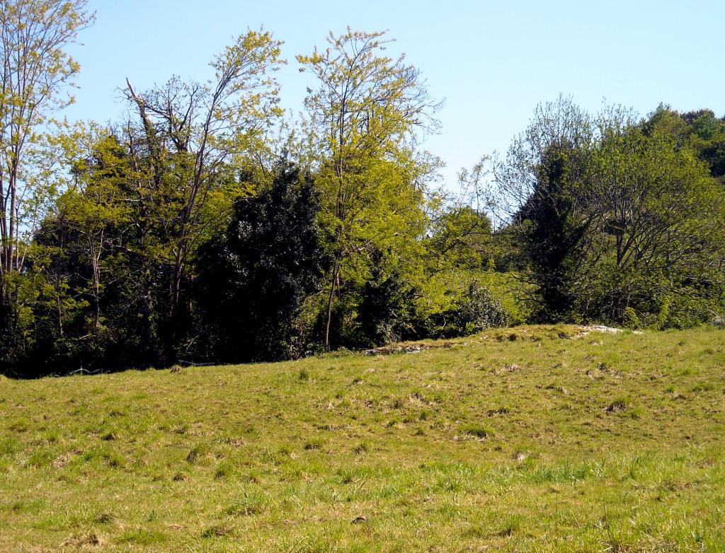 Foto de Agüero (Cantabria), España