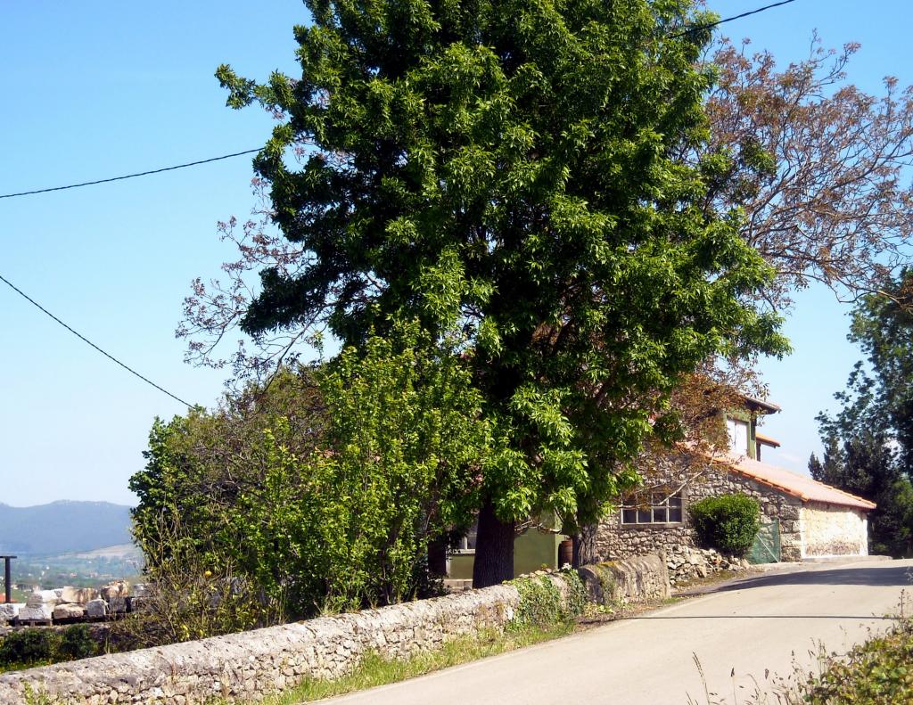 Foto de Agüero (Cantabria), España