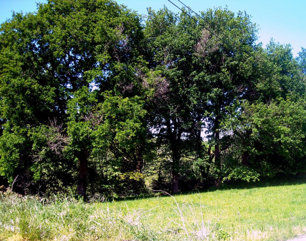 Foto de Agüero (Cantabria), España