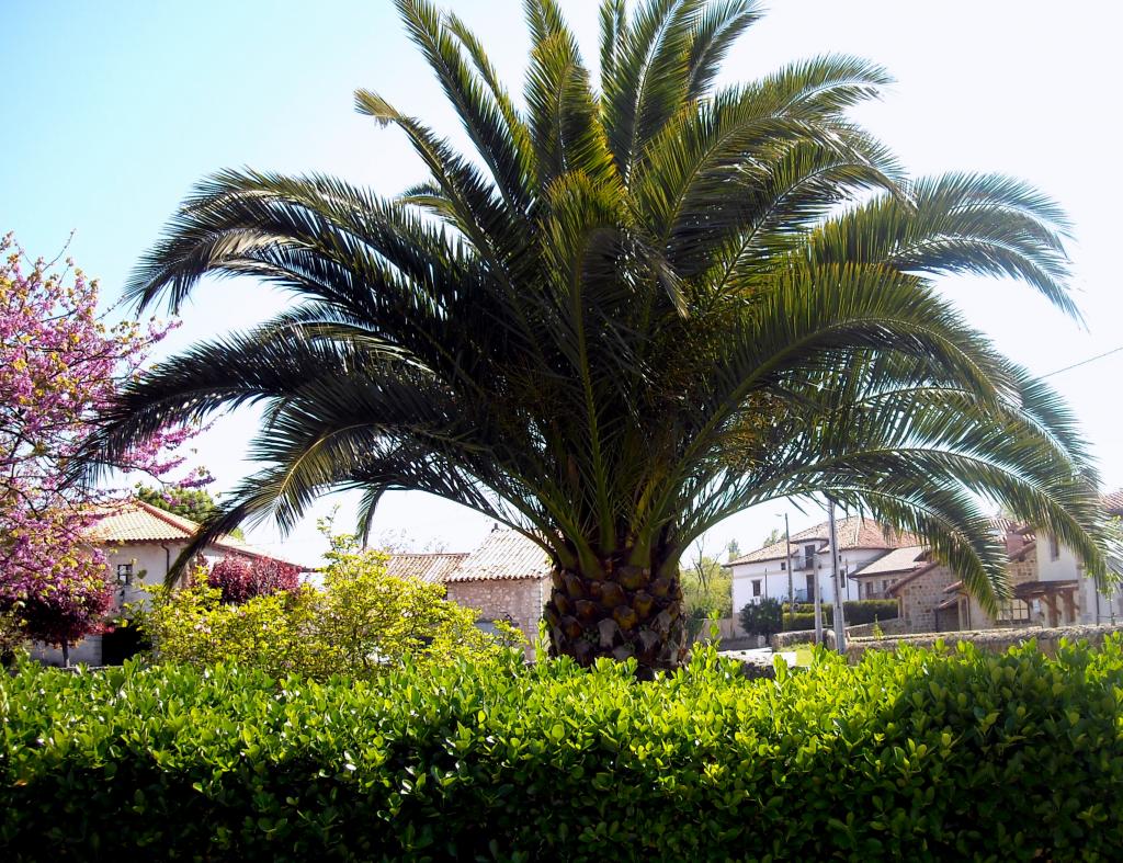 Foto de Agüero (Cantabria), España