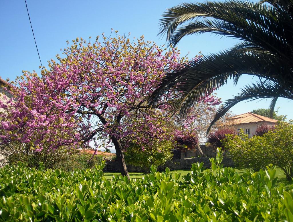 Foto de Agüero (Cantabria), España