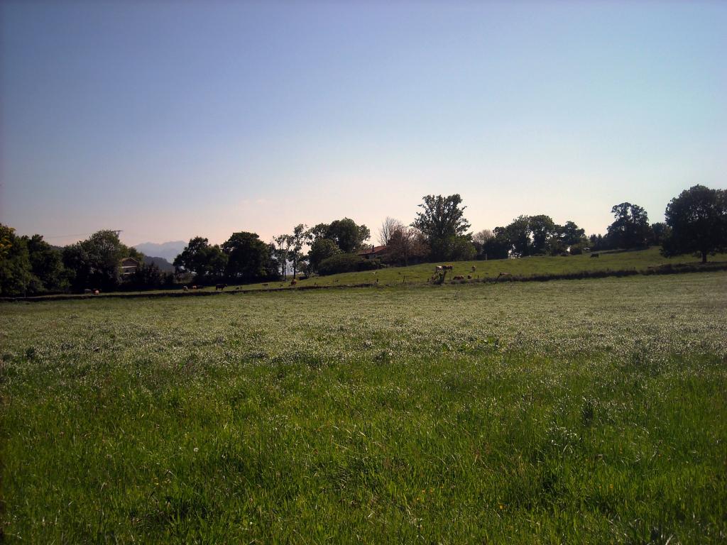 Foto de Agüero (Cantabria), España