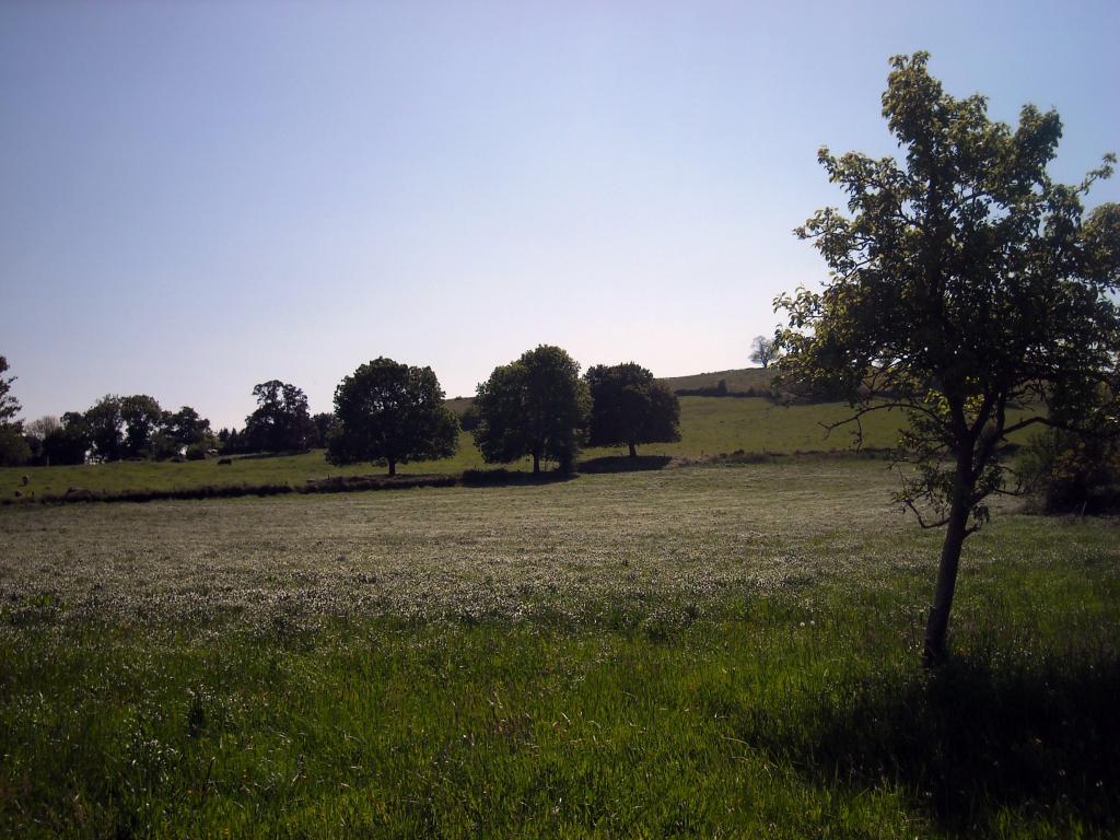 Foto de Agüero (Cantabria), España
