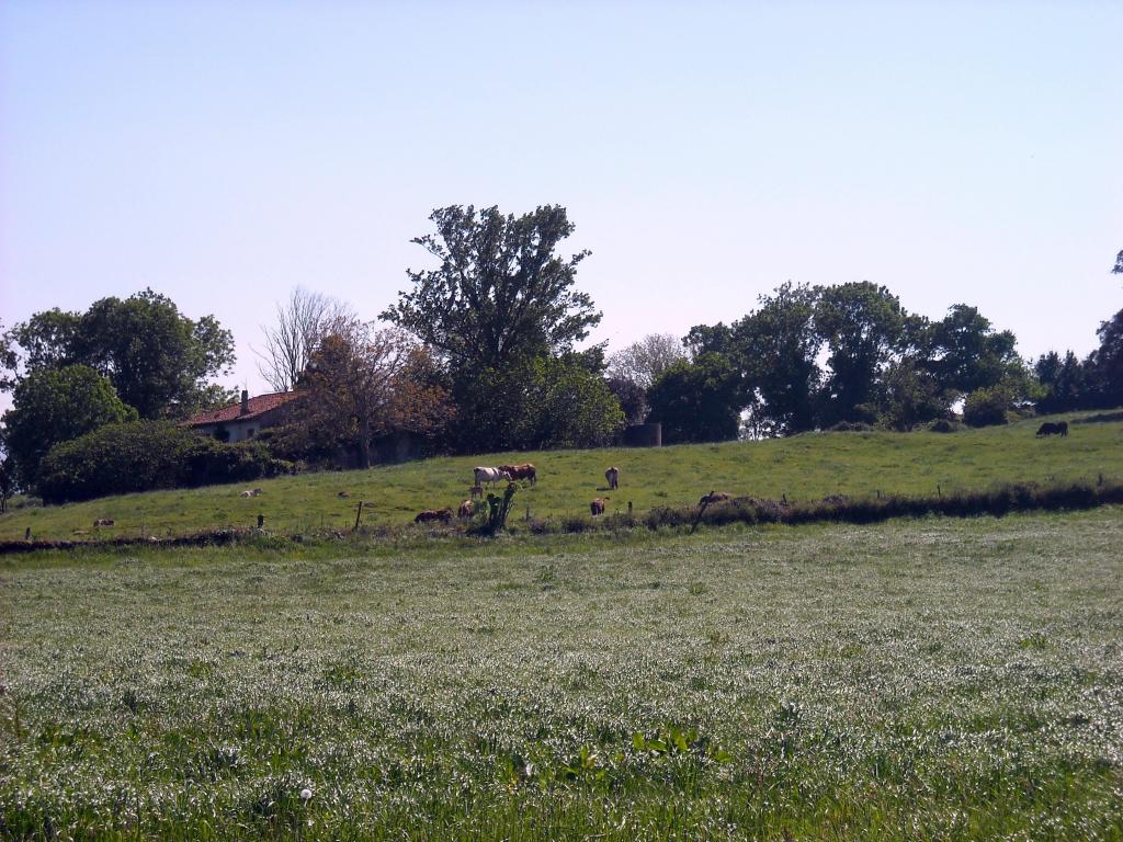 Foto de Agüero (Cantabria), España