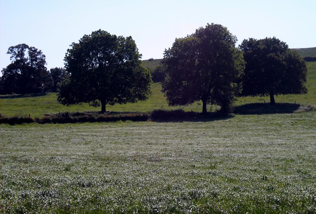 Foto de Agüero (Cantabria), España