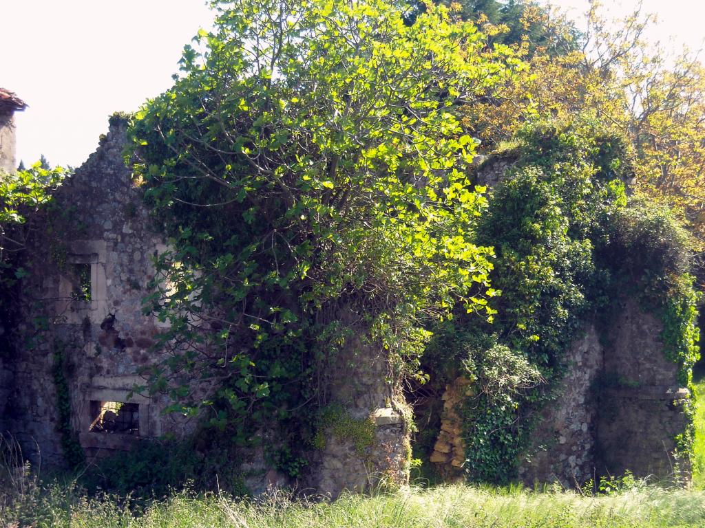 Foto de Agüero (Cantabria), España