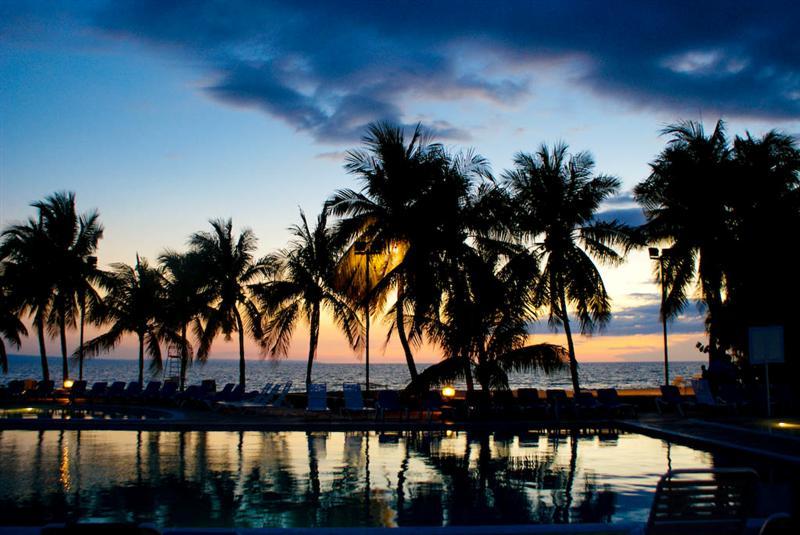 Foto de Indigo, Haití