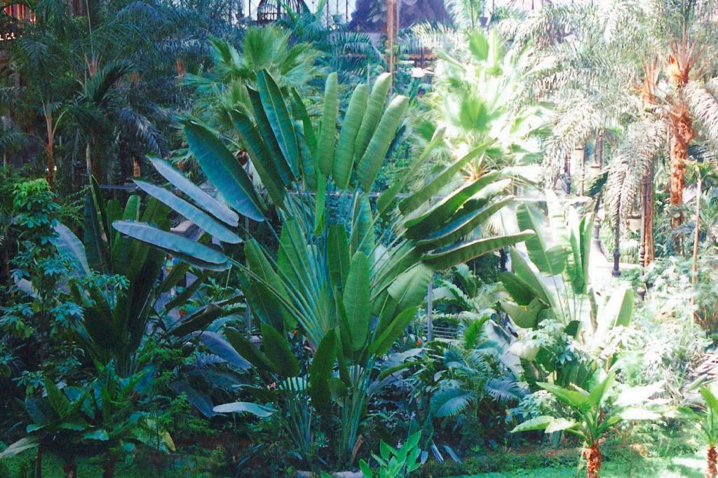 Foto de Madrid (Comunidad de Madrid), España