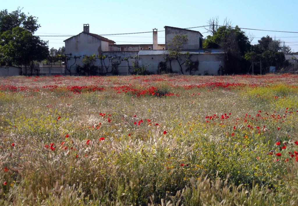 Foto de Albacete (Castilla La Mancha), España